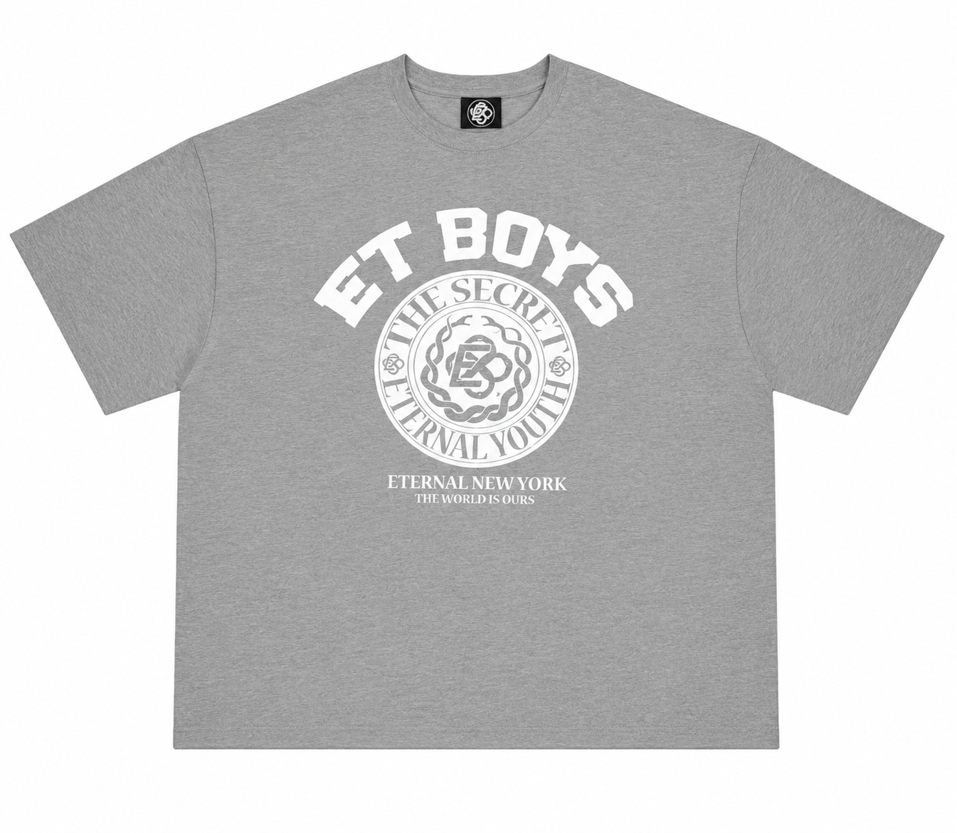 ET BOYS T-Shirt Grey