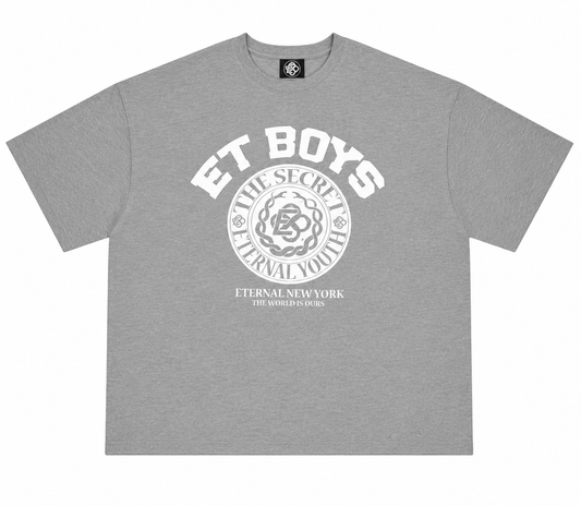 ET BOYS T-Shirt Grey